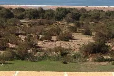 Majatalo Dar Aalida