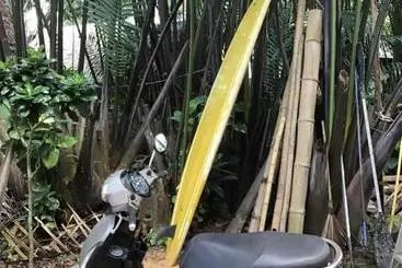 Majatalo Dawn Of Happiness