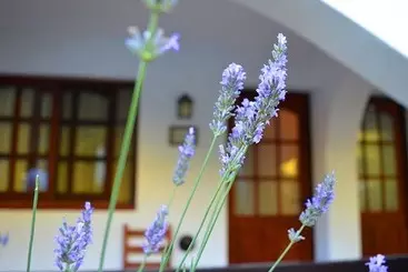 Retkeilymaja Posada San Bras