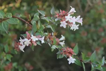 Retkeilymaja Melodias Posada Boutique
