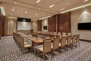 Hotel Hyatt Regency Addis Ababa