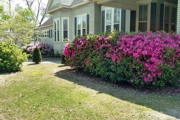 Baker Street Bed And Breakfast