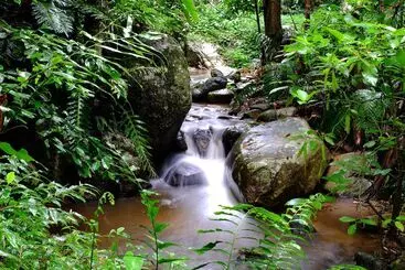 Hotel Baan Suphanbhum   Teddu Inn Maekampong