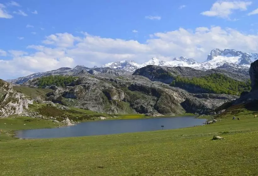 Arcea Gran Hotel Pelayo