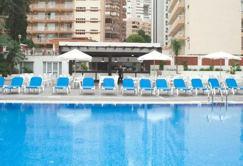 فندق Gala Placidia 3* Sup