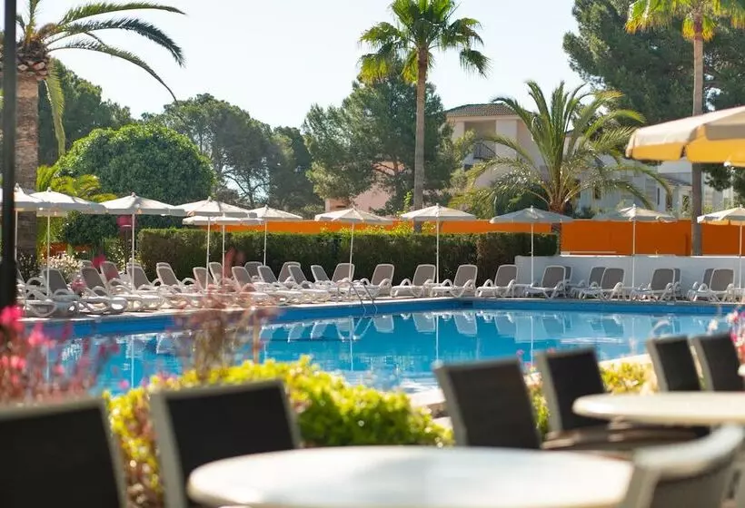 Отель Millor Sol