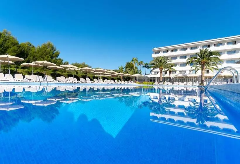 Отель Millor Sol