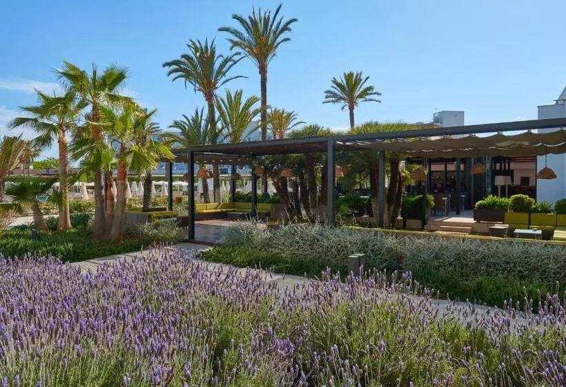 Protur Sa Coma Playa Hotel & Spa