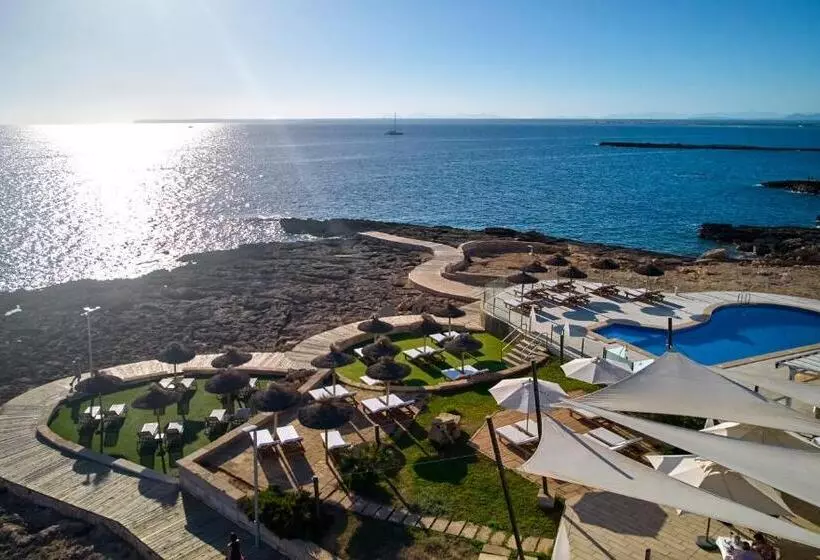 Universal Hotel Cabo Blanco   Adults Only