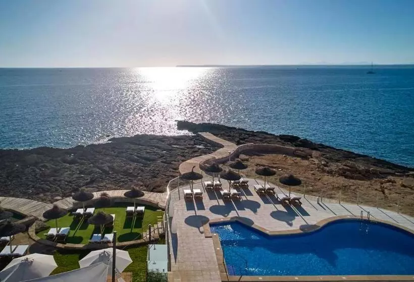 Universal Hotel Cabo Blanco   Adults Only