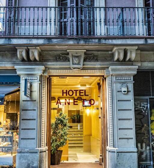 هتل Aneto