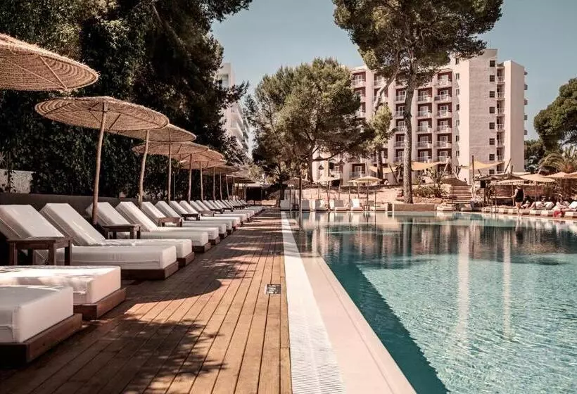 ホテル Caramelo Palma Beach - Adults Only