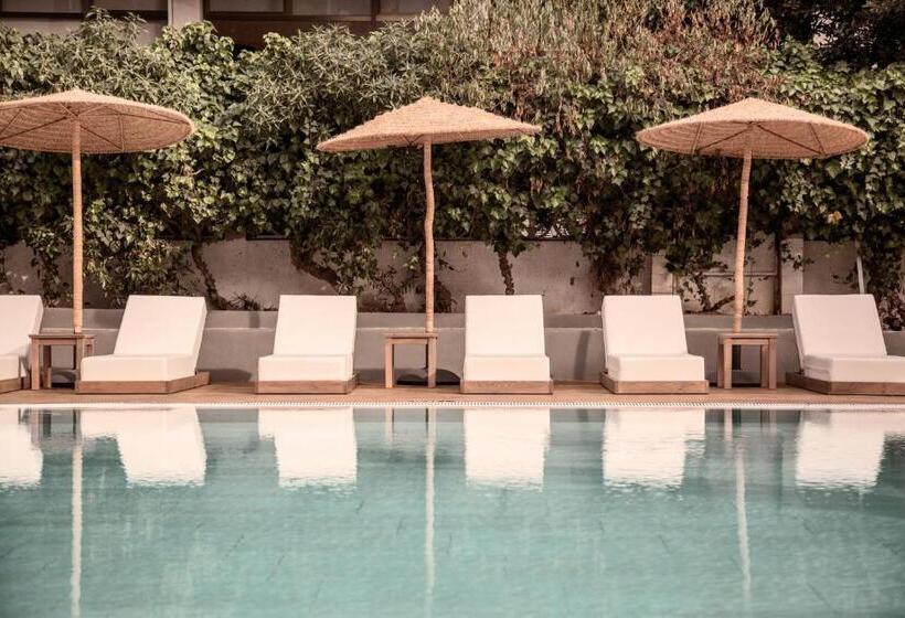 فندق Caramelo Palma Beach - Adults Only