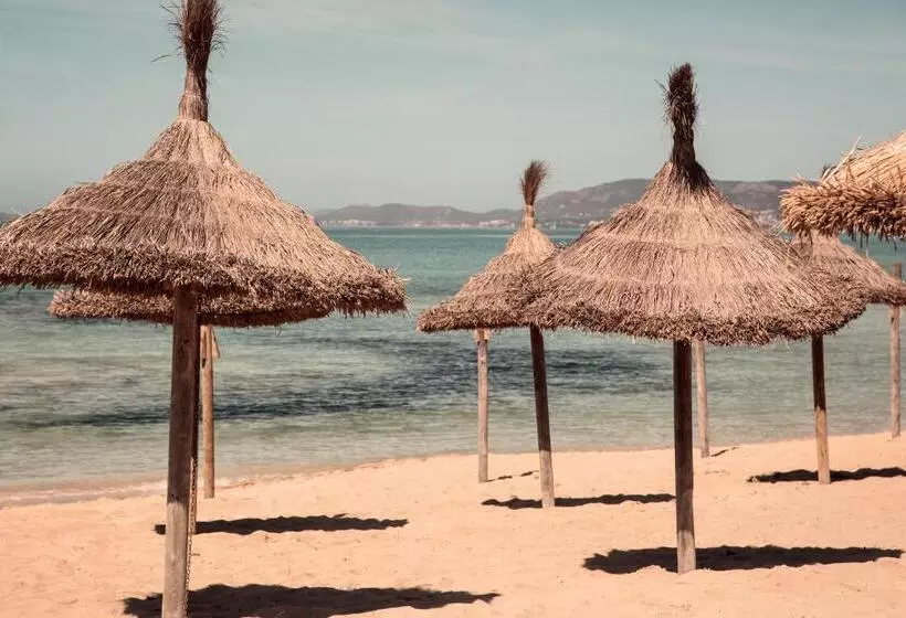 ホテル Caramelo Palma Beach - Adults Only