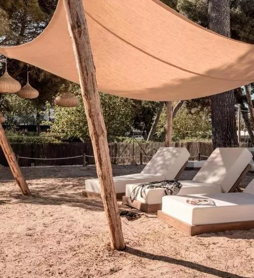 ホテル Caramelo Palma Beach - Adults Only