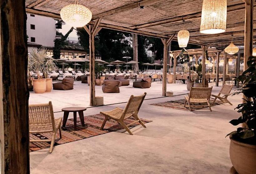 فندق Caramelo Palma Beach - Adults Only