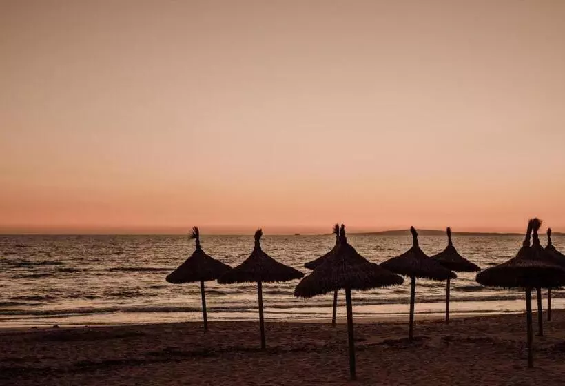 ホテル Caramelo Palma Beach - Adults Only