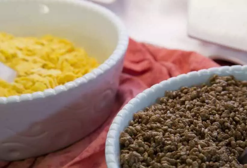 Ght Balmes, Hotel Aparthotel&splash