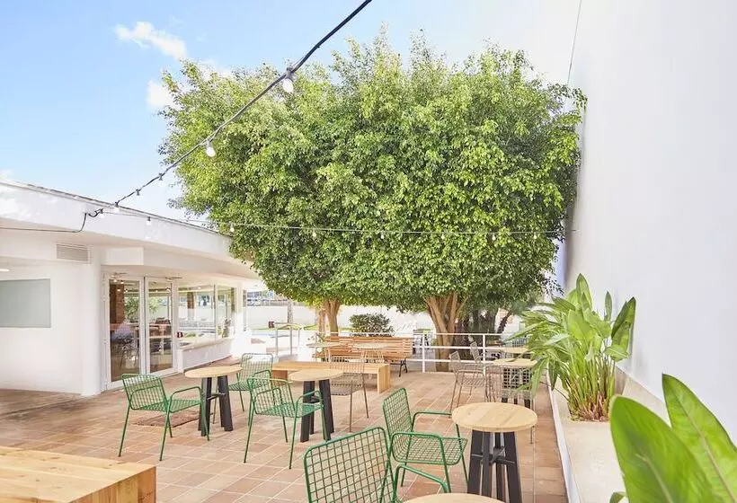 Отель tent Playa De Palma