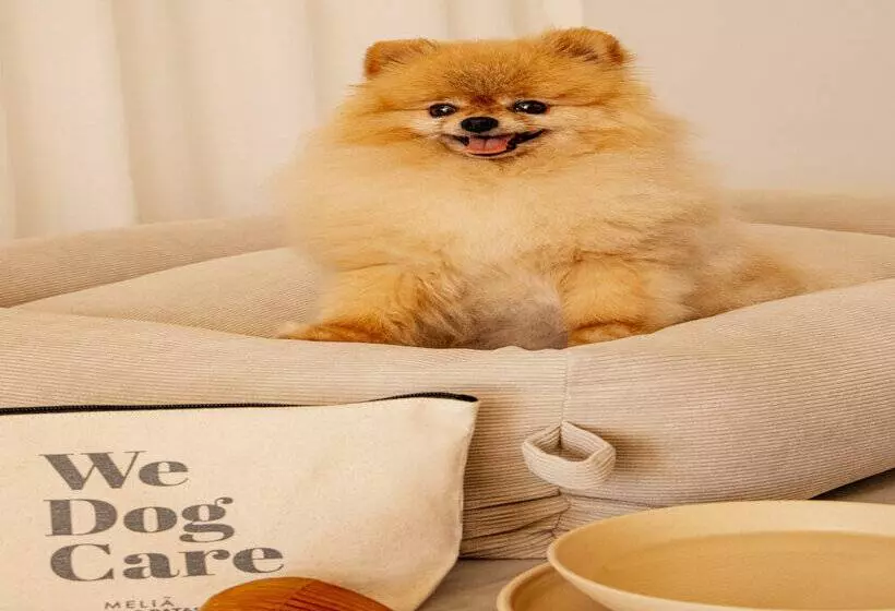 Villa Le Blanc Gran Meliá Hotel