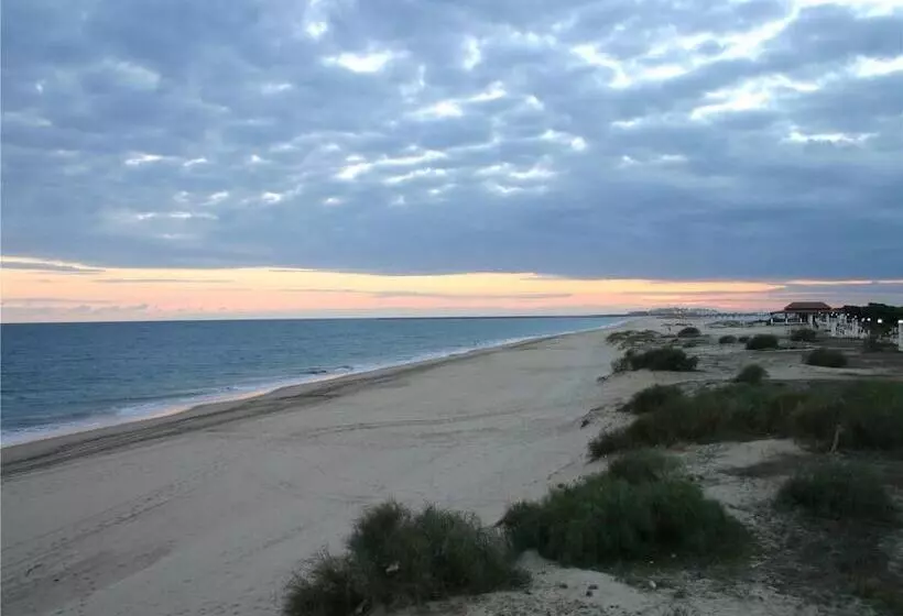 호텔 Paraiso Playa