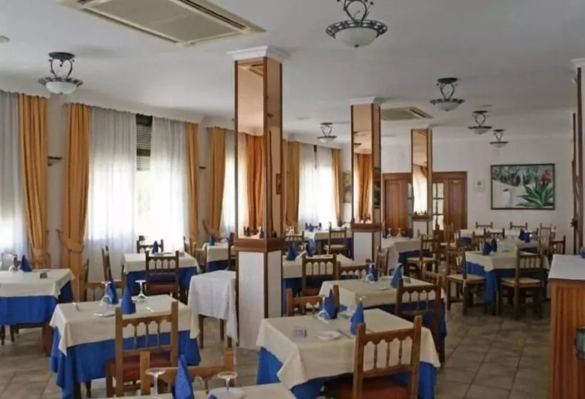 호텔 Paraiso Playa