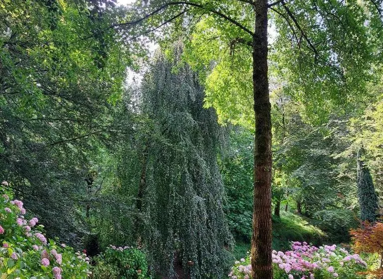 Отель Etxeberri