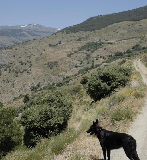 ホテル Los Bérchules