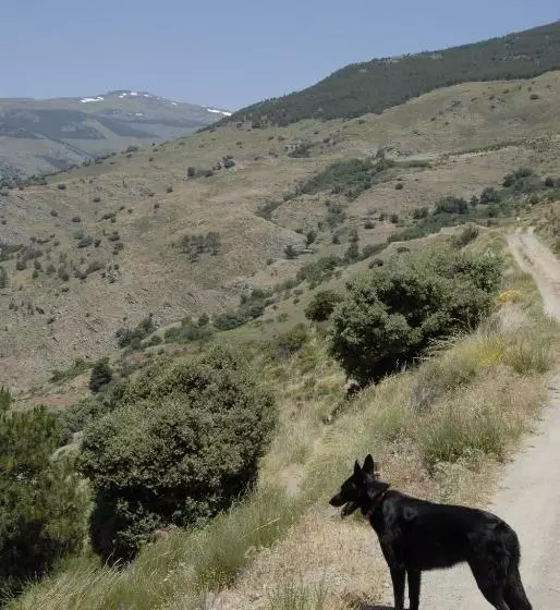 فندق Los Bérchules