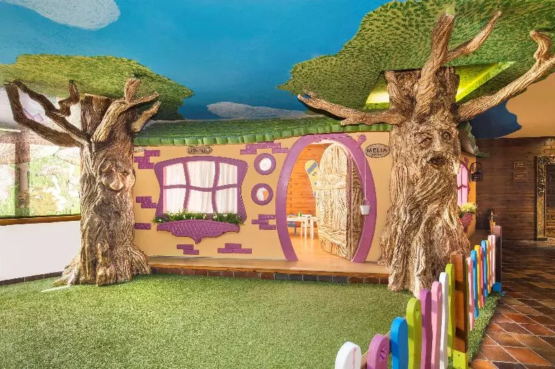 Отель Melia Sierra Nevada