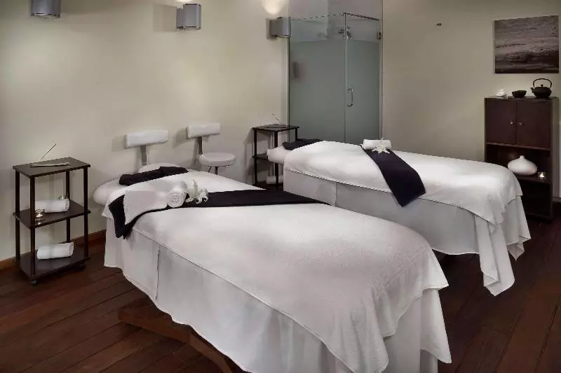 Отель Melia Sierra Nevada