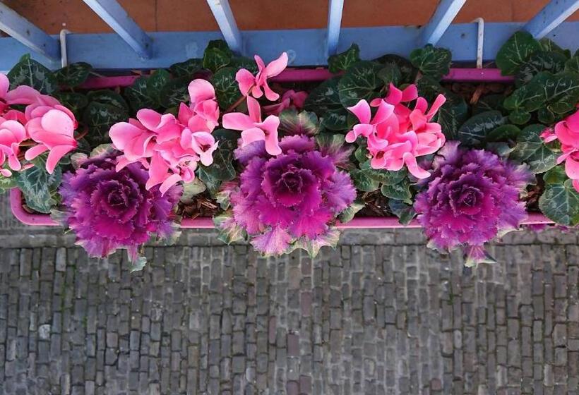 هتل San Nikolas Sea Views