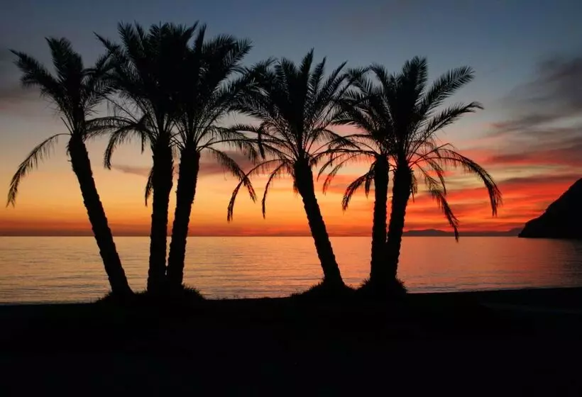 فندق Sol Los Fenicios