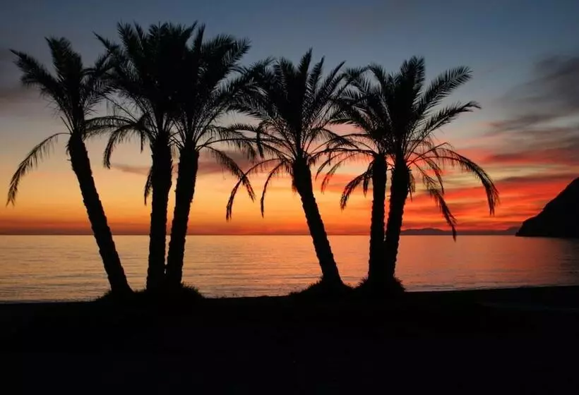 فندق Sol Los Fenicios