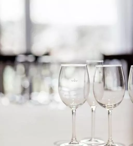 Parador De Manzanares