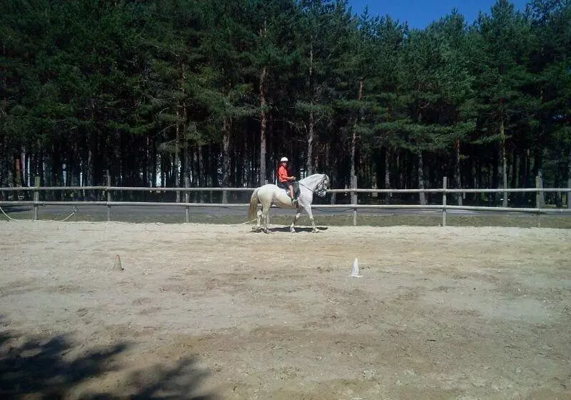 Apartamentos Galicia