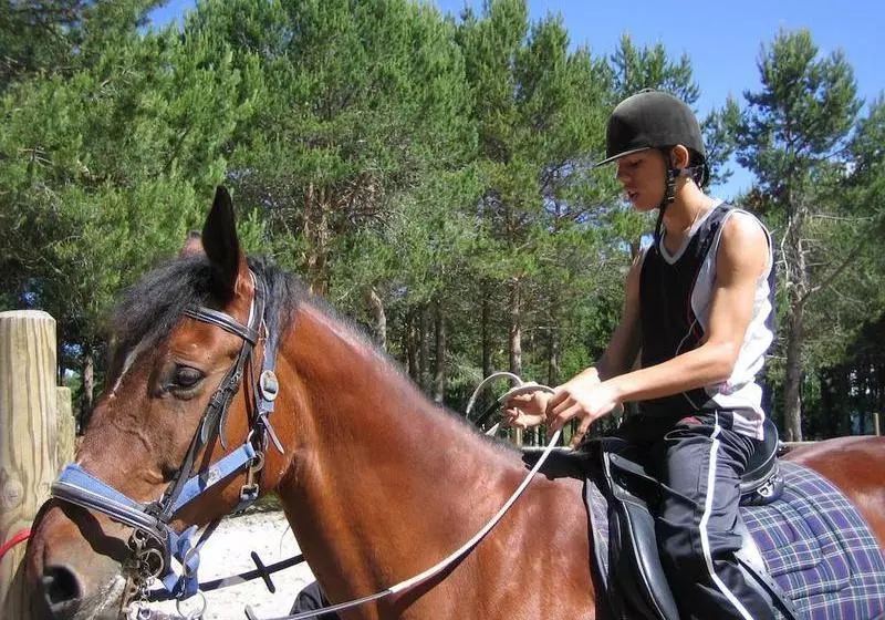 Apartamentos Galicia