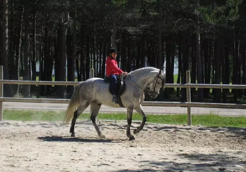Apartamentos Galicia