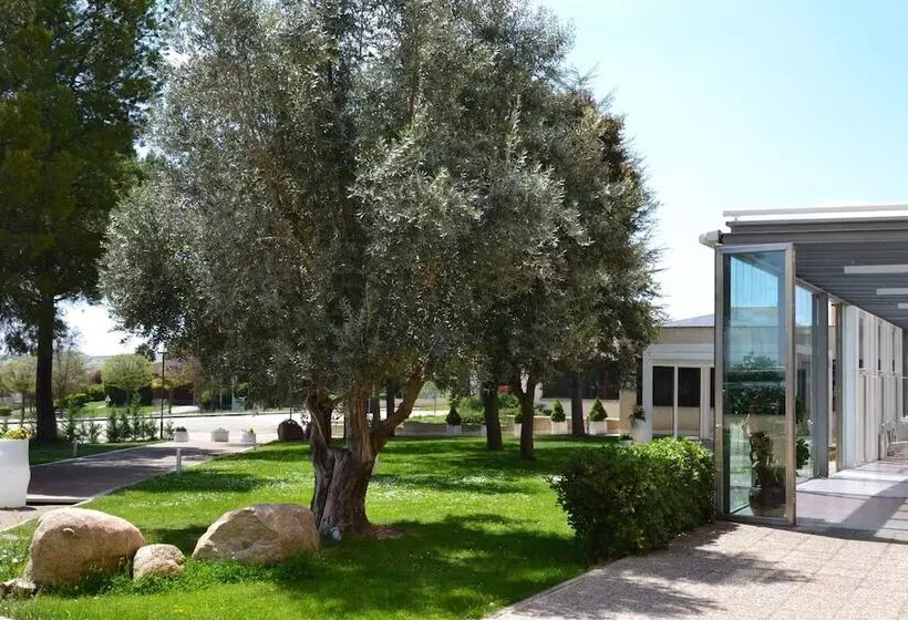 Hospedium Hotel Europa Centro