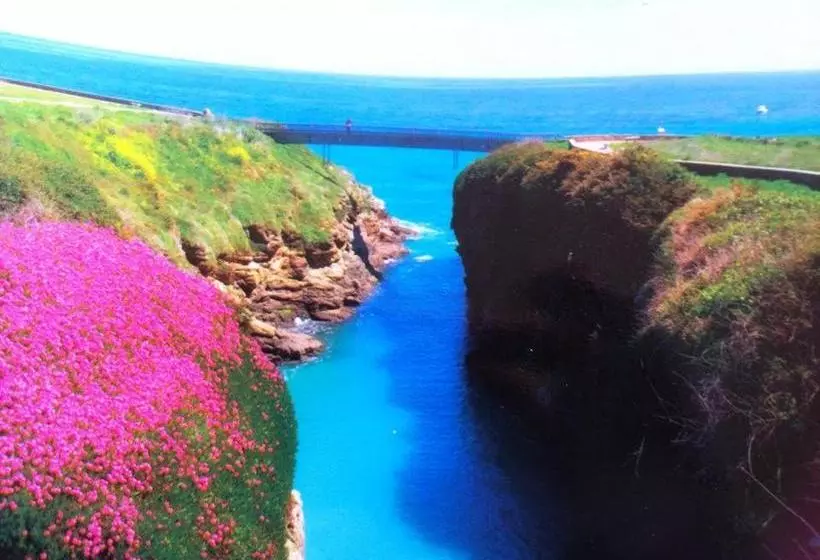 בית מלון כפרי Leyton