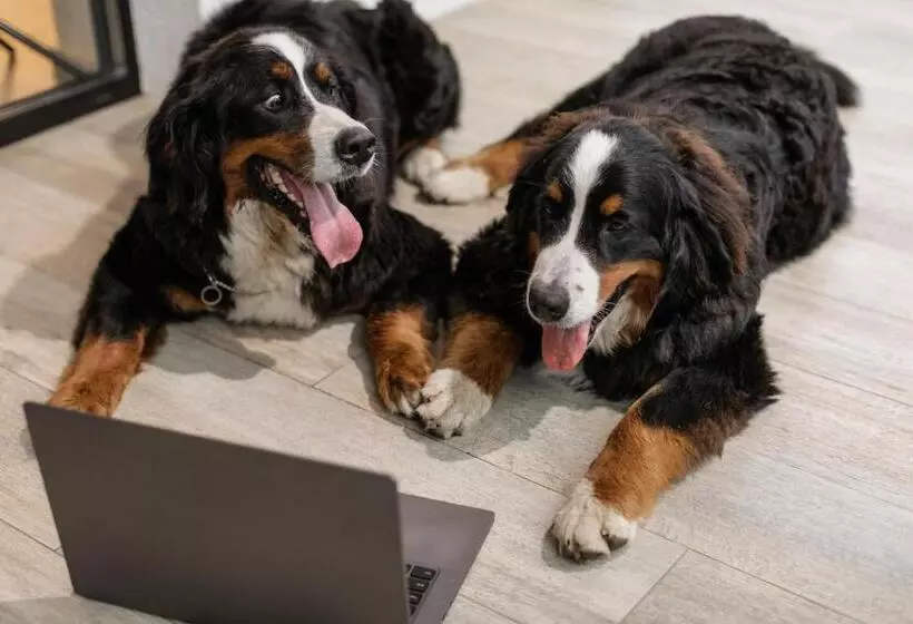 Отель Petit Palace Preciados