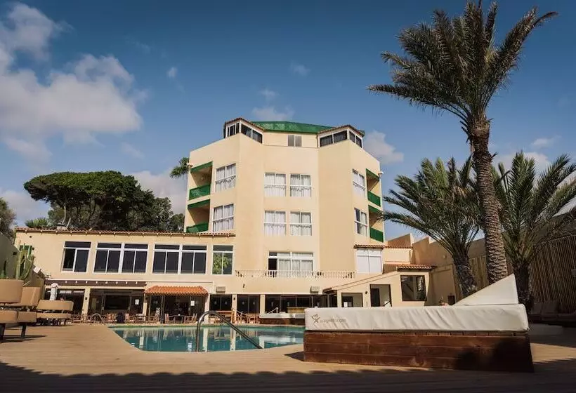 Hotel Playa Sur Tenerife