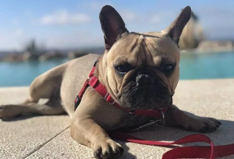 Отель Ritual Torremolinos  Adults Only