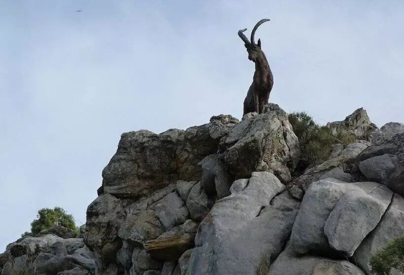 田舎風ホテル El Refugio De Juanar