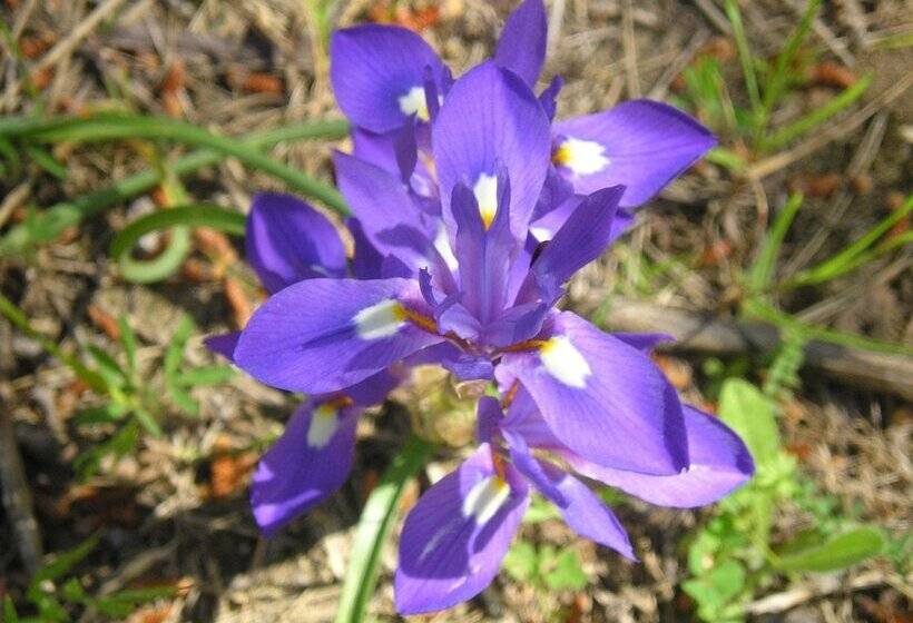 Сельский отель El Refugio De Juanar