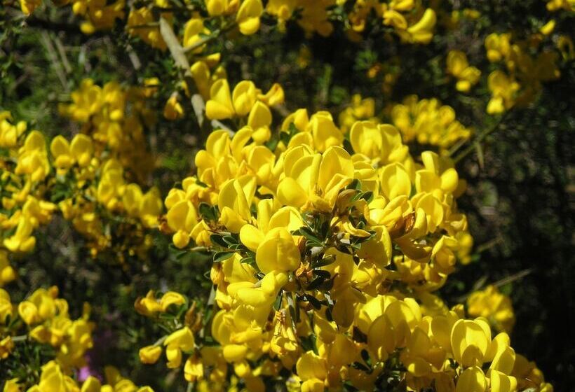 Сельский отель El Refugio De Juanar