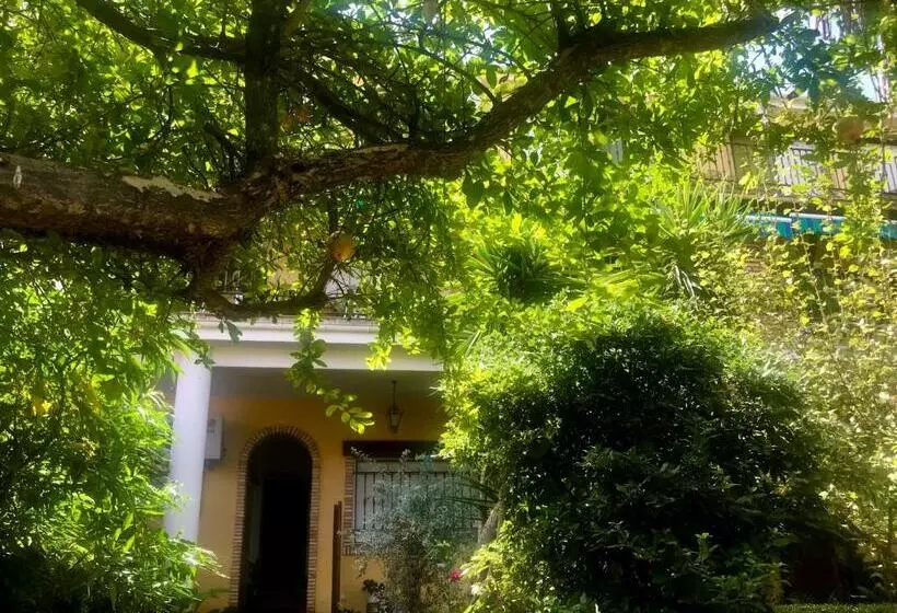 Отель La Finca Mercedes