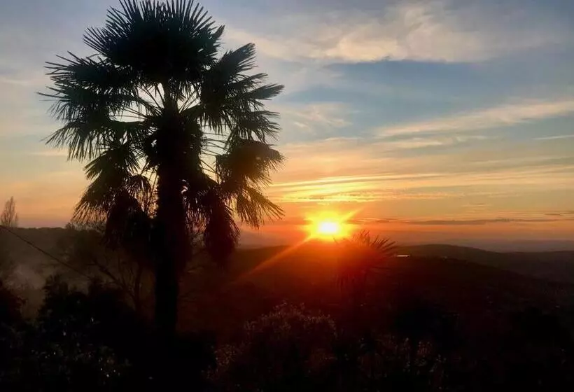 Отель La Finca Mercedes