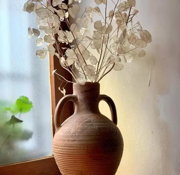 교외 호텔 Rural Tia Margot