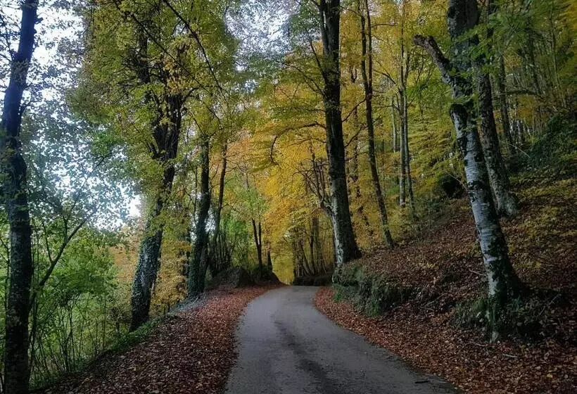 Hotel Santuari De La Salut De Sant Feliu De Pallerols